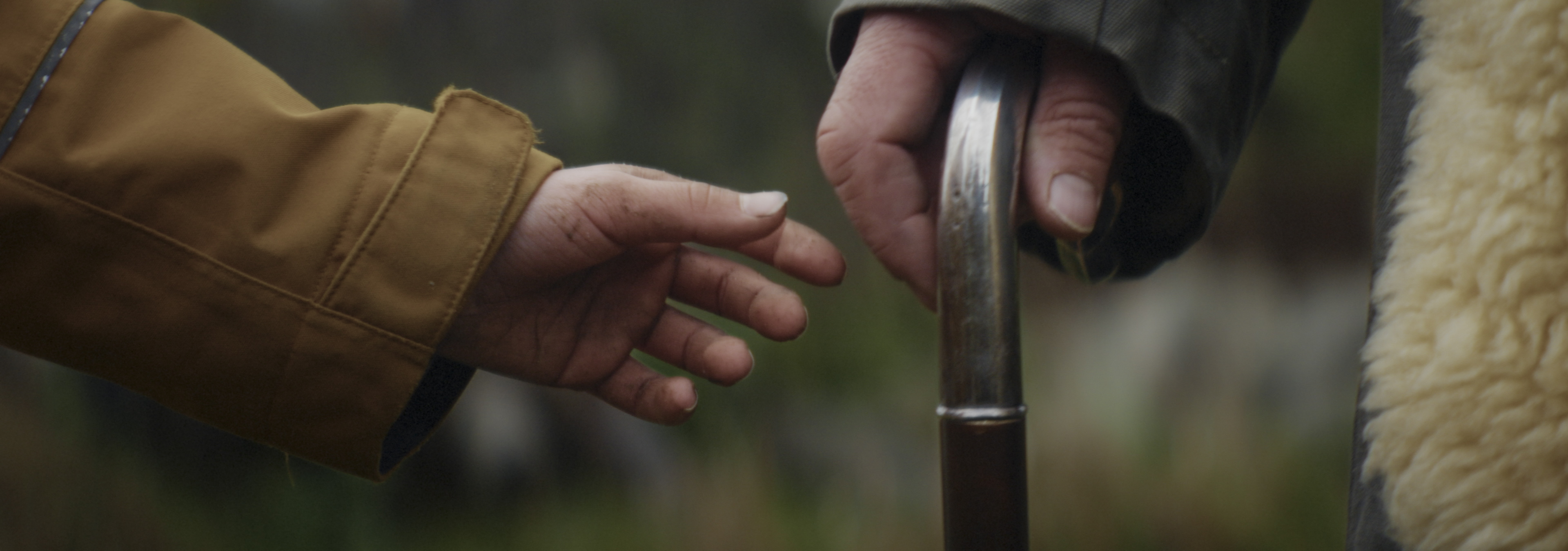 Short Film
